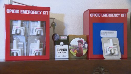 The drug Naloxone displayed in an emergency kit.