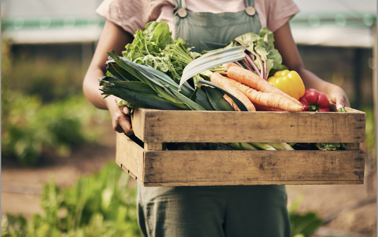 Farmer holding a wooden crate of various vegetables.