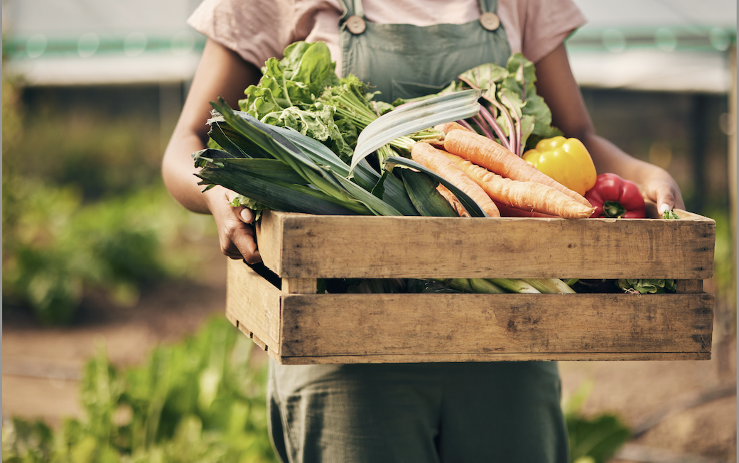 Farmer holding a wooden crate of various vegetables.