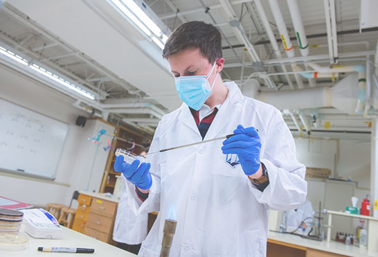 A researcher wearing a white lab coat, face mask, and blue gloves uses an inoculation loop over a Petri dish above a Bunsen burner flame in a laboratory.