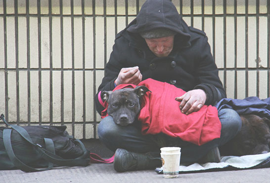 A person in a black hooded coat sits on a sidewalk against a tiled wall, holding a dog wrapped in a red blanket.